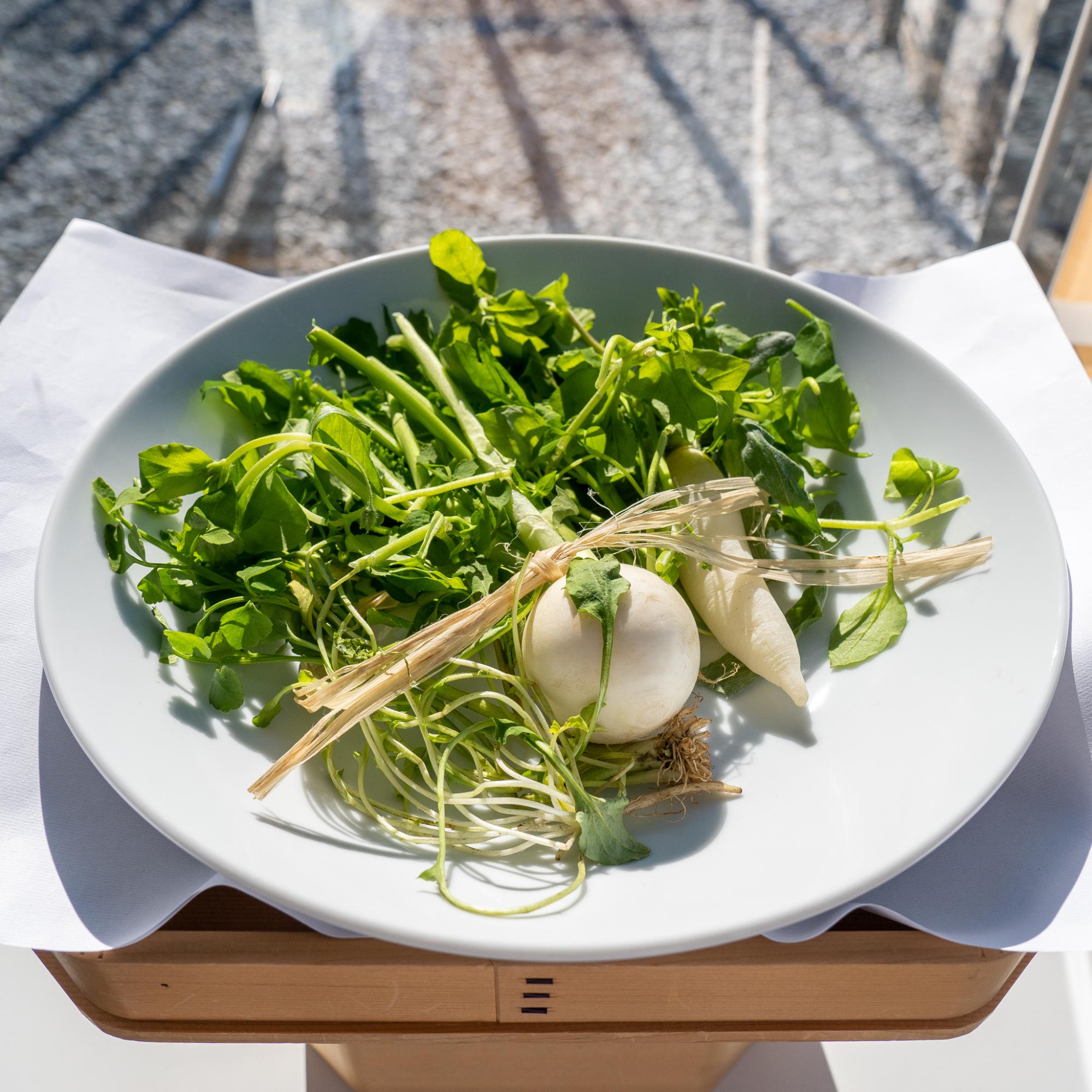 隕鉄刀の美を神器の高みへ！ 稀代の刀匠 伊藤重光が語る日本刀の神髄